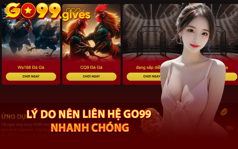 Lý Do Nên Liên Hệ KUBET Nhanh Chóng